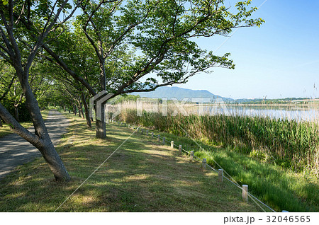 【新潟県新潟市】佐潟は水鳥の飛来する砂丘湖でラムサール条約に登録されている 【新潟県新潟市】佐潟は水鳥の飛来する砂丘湖でラムサール条約に登録されている 32046565