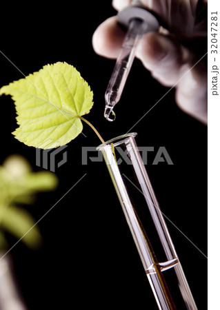 Plants in lab 32047281
