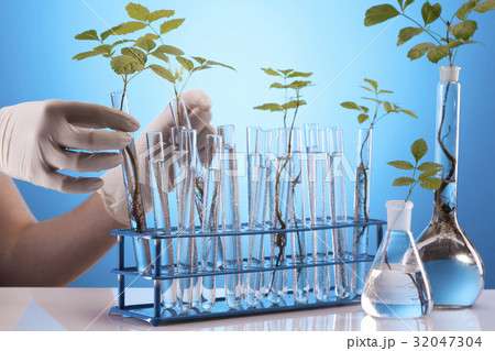 Ecologic laboratory Ecologic laboratory 32047304