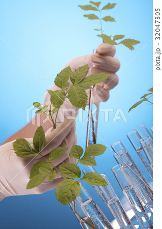 Ecologic laboratory Ecologic laboratory 32047305