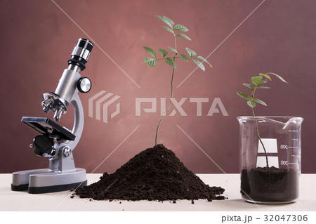 Ecologic laboratory Ecologic laboratory 32047306