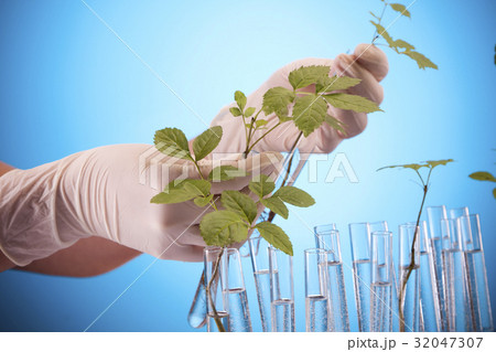 Ecologic laboratory Ecologic laboratory 32047307