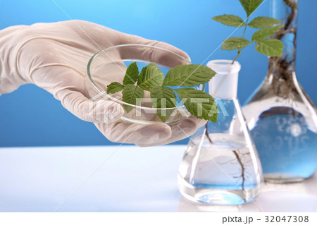 Ecologic laboratory Ecologic laboratory 32047308