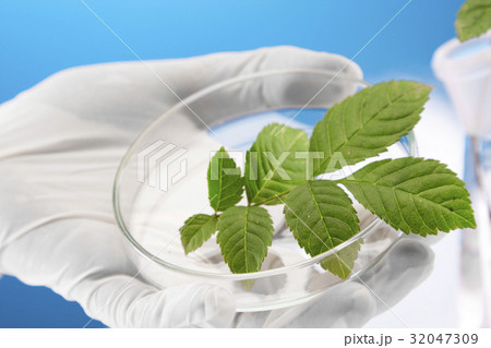 Ecologic laboratory Ecologic laboratory 32047309