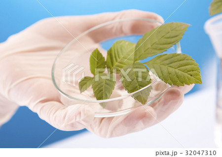 Ecologic laboratory 32047310