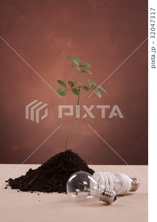 Ecologic laboratory 32047317