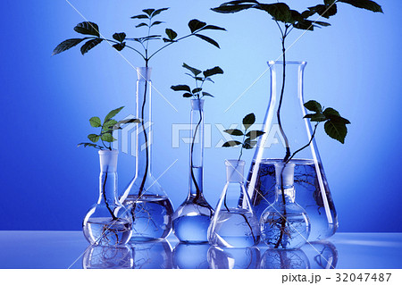 Ecologic laboratory Ecologic laboratory 32047487