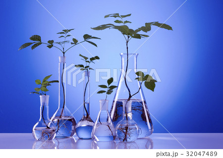 Ecologic laboratory Ecologic laboratory 32047489