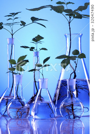 Ecologic laboratory Ecologic laboratory 32047490