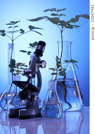 Ecologic laboratory Ecologic laboratory 32047491