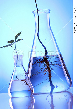Ecologic laboratory Ecologic laboratory 32047492