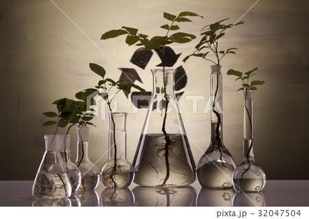 Ecologic laboratory Ecologic laboratory 32047504