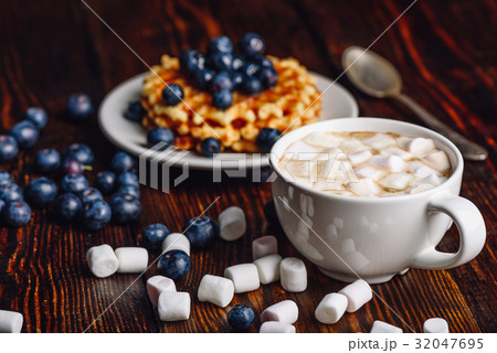 Hot Chocolate and Waffles with Blueberry. Hot Chocolate and Waffles with Blueberry. 32047695