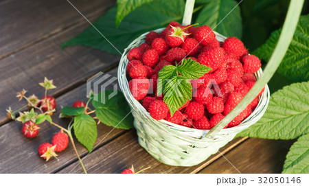 Basket with raspberries near bush on wooden table Basket with raspberries near bush on wooden table 32050146