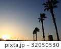 南国風イメージ 32050530
