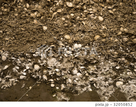 加曽利貝塚 32050852