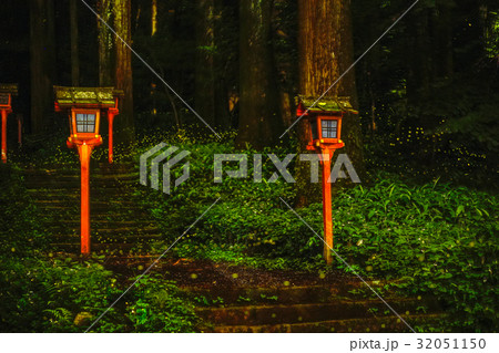 神社 ホタル 神社 ホタル 32051150