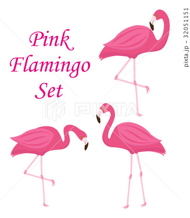 Pink flamingo set of objects. Isolated on white 32051151