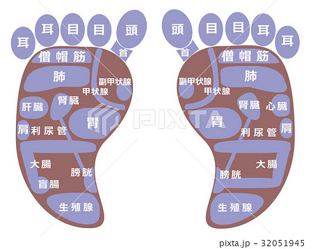 リフレクソロジー 反射区のイラスト素材