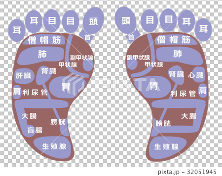 Reflexology Reflection Area Stock Illustration 32051945 Pixta