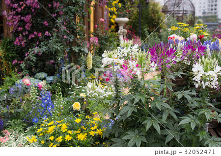 the hong kong flower show at 2017 32052471