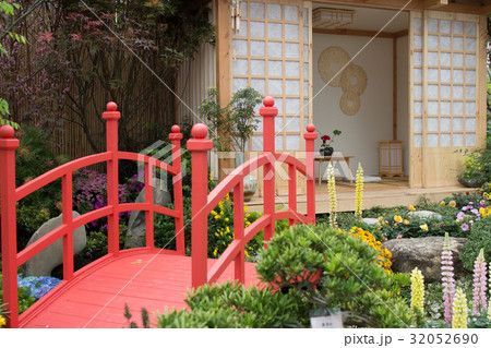 peaceful zen rock garden with papyrus plant peaceful zen rock garden with papyrus plant 32052690
