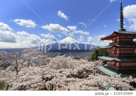 春の桜と富士山 32053069
