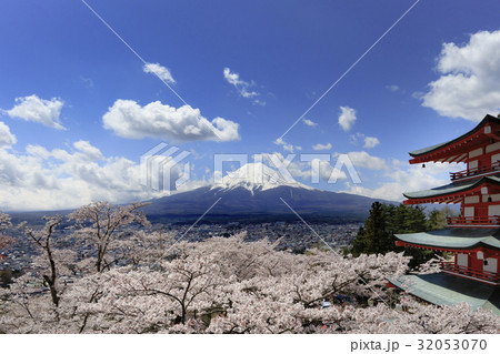 春の桜と富士山 32053070