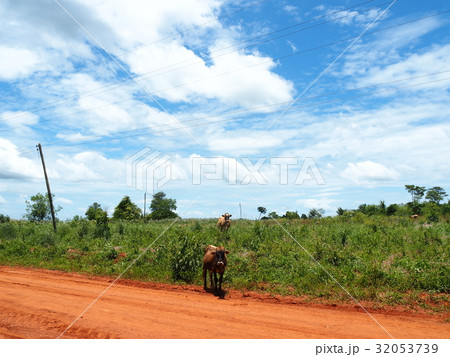 パラグアイの風景 32053739