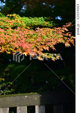 二荒山神社境内 二荒山神社境内 32054003