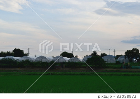 ビニールハウス ビニールハウス 32058972