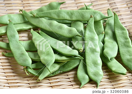 モロッコインゲン 32060386