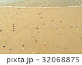 貝殻のある浜辺 32068875