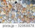 貝のかけらコレクション 32068878