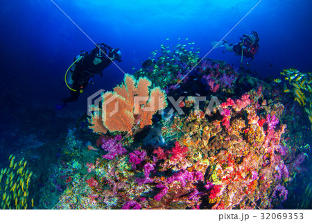 A photographer enjoyed diving in the blue world. A photographer enjoyed diving in the blue world. 32069353