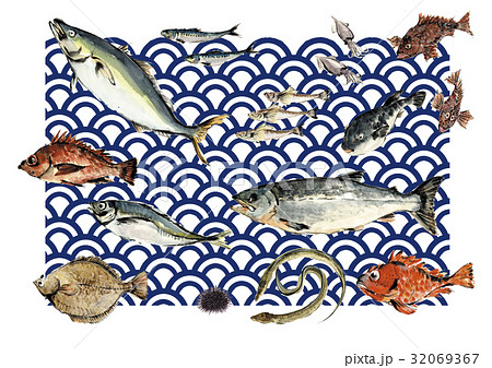 いろいろな魚 青海波バック 藍色 32069367