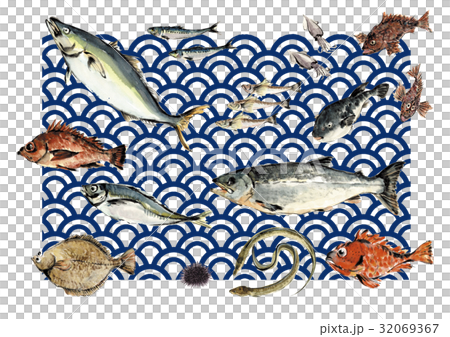 いろいろな魚 青海波バック 藍色 32069367