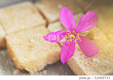 Talinum paniculatum Gaertn, flower on the sugar. Talinum paniculatum Gaertn, flower on the sugar. 32069733