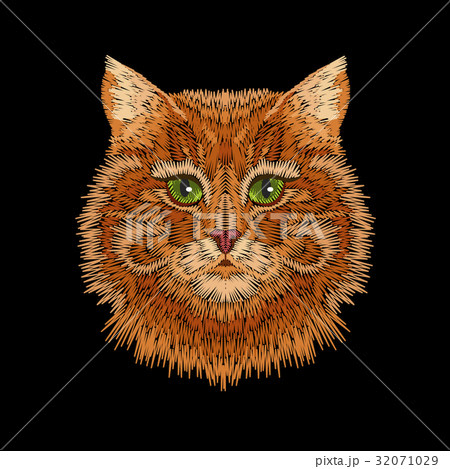 Red orange striped cat green eyes face head. Red orange striped cat green eyes face head. 32071029