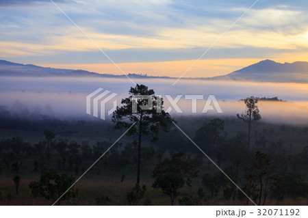 Misty morning sunrise at Thung Salang Luang Misty morning sunrise at Thung Salang Luang 32071192