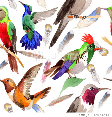 Sky bird colibri pattern in a wildlife by 32071231