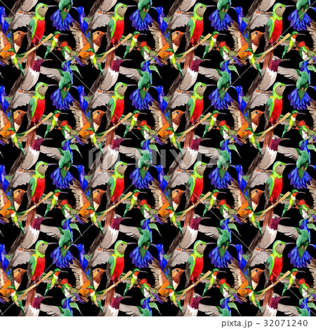Sky bird colibri pattern in a wildlife by Sky bird colibri pattern in a wildlife by 32071240