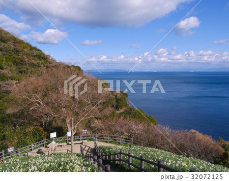 灘黒岩水仙郷 32072125