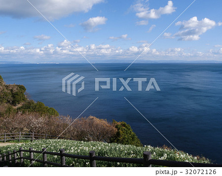 灘黒岩水仙郷 32072126