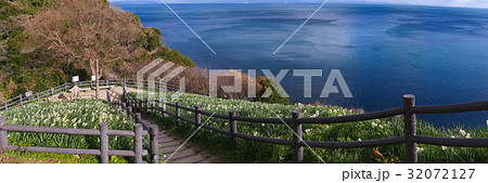 灘黒岩水仙郷 32072127