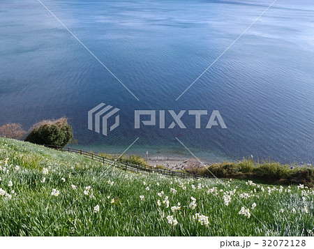 灘黒岩水仙郷 32072128