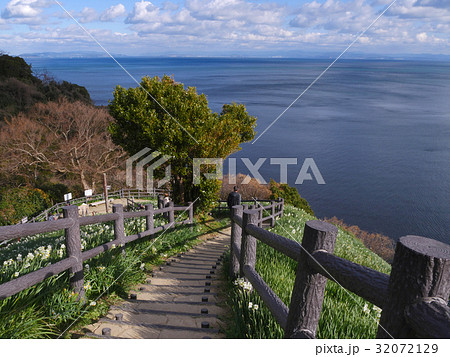 灘黒岩水仙郷 灘黒岩水仙郷 32072129