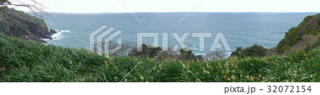 越前岬の水仙　　梨子ヶ平付近　 32072154