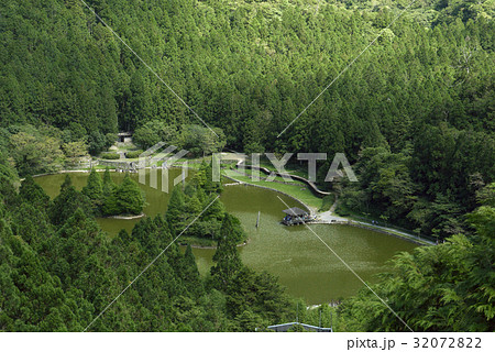 木 ツリー 樹 32072822