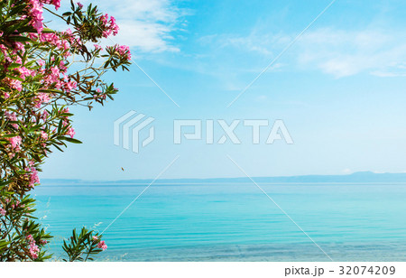 Blue sea surrounded by flowers Blue sea surrounded by flowers 32074209
